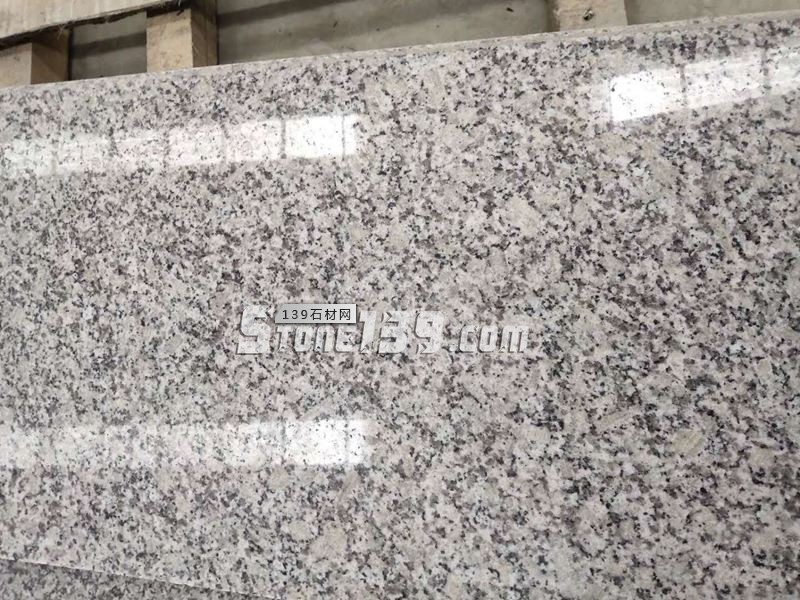 芝麻白602、603的區(qū)別介紹