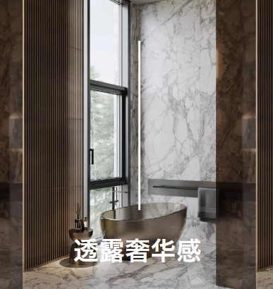 衛生間裝飾巖板,也是個不錯的選擇! 衛生間巖板裝飾