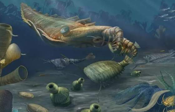 石灰?guī)r與砂巖