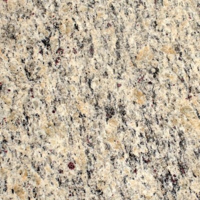 巴西淺紫點(diǎn)