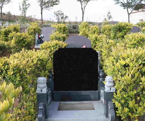 墓碑好石材：四川冕寧縣鳳凰黑石材欣賞