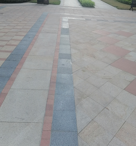 映山紅、藍(lán)水晶、菊花黃