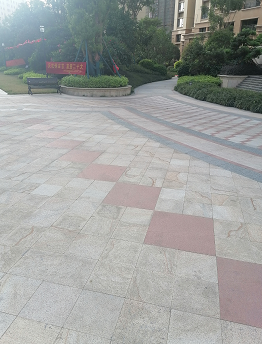 映山紅、藍(lán)水晶、菊花黃