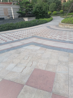 映山紅、藍(lán)水晶、菊花黃