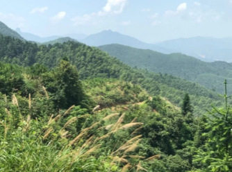 石材變廢為寶的應(yīng)用