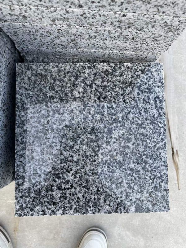 海南芝麻黑與屏南芝麻黑對比