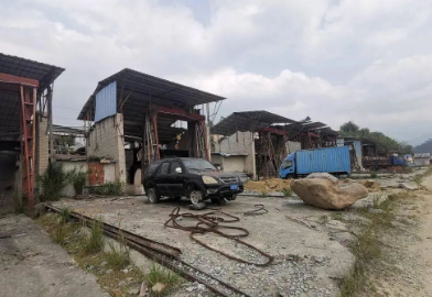 廣東海浪花產區信宜工廠