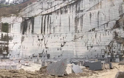 廣東海浪花產區信宜工廠