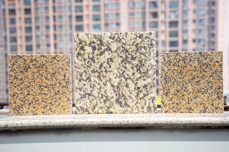 江西菊花黃與新疆菊花黃對比