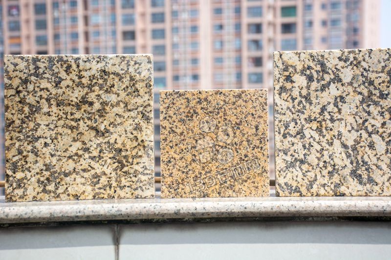 江西菊花黃與新疆菊花黃對比