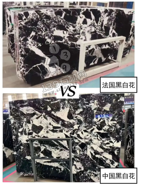 拿破侖黑(法國黑白花)與國產(chǎn)黑白花的對(duì)比 黑白花