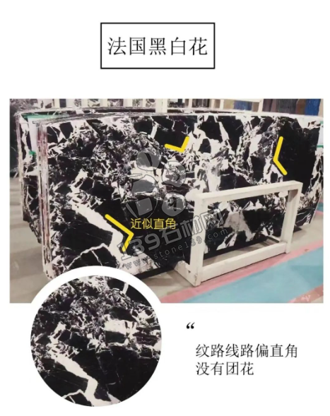 拿破侖黑(法國黑白花)與國產(chǎn)黑白花的對(duì)比 黑白花