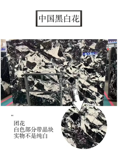 拿破侖黑(法國黑白花)與國產(chǎn)黑白花的對(duì)比 黑白花