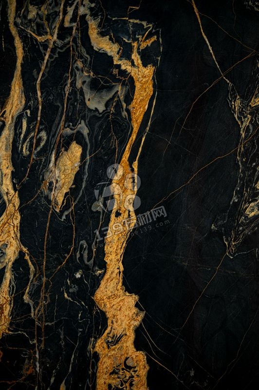 法國進口拿破侖金大理石