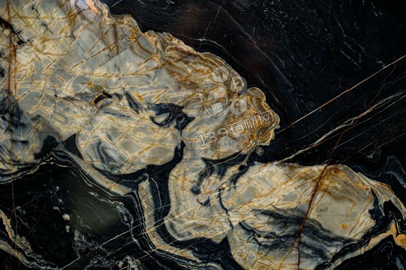 法國進口拿破侖金大理石