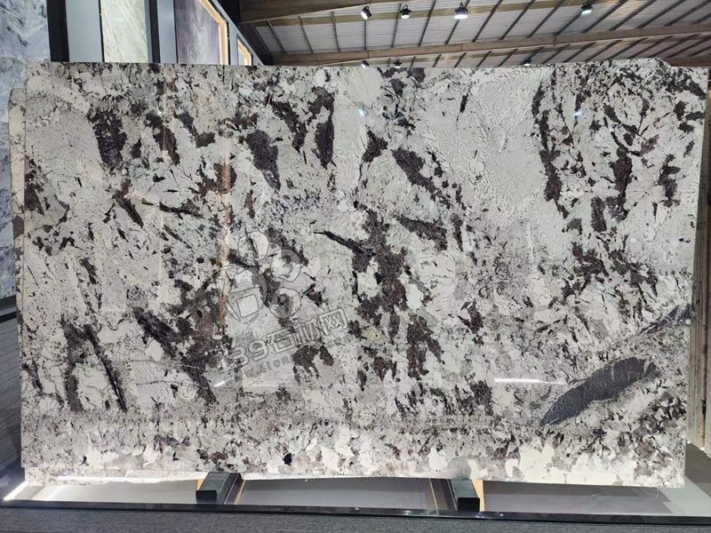 巴西進口奢石雪山蘭石材