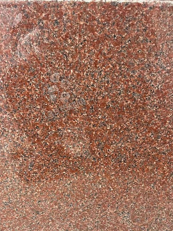 印度進口紅色花崗巖石材