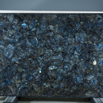 藍翡翠-五彩斑斕的藍